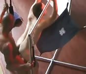 Foda Anal E Boquete Preto No Branco Mundobicha