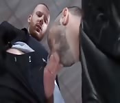 Una Scopata Fra Gay Neri Seigay